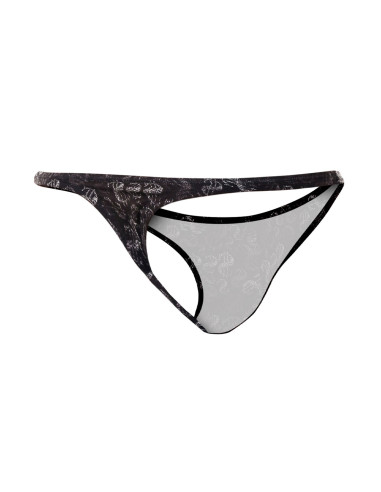 Tanga Dollar - Provocative - C4M