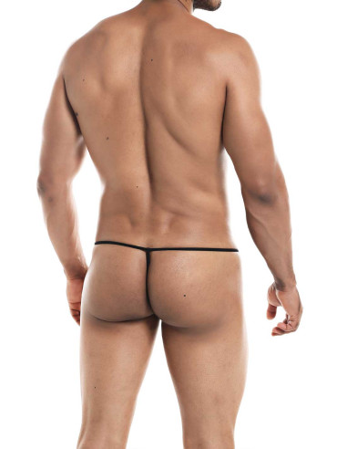 String Tiger - Provocative - C4M